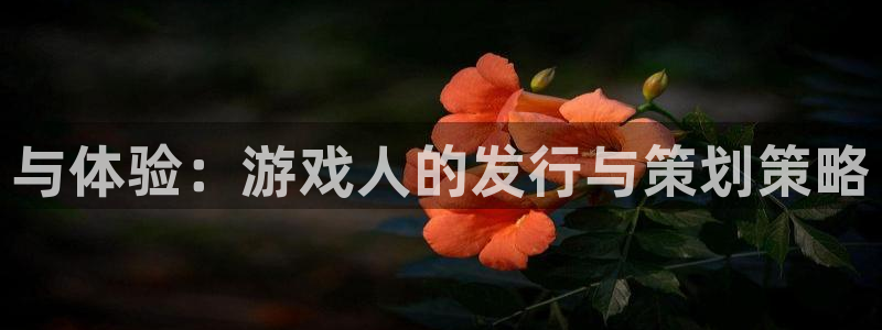 雷火竞技子音乐