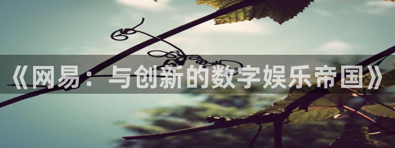 我要看雷火竞技：《网易：与创新的数字娱乐帝国》