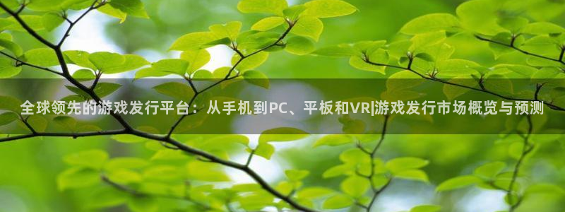 雷火电竞注册平台登录不了：全球领先的游戏发行平台：从手机到PC、平板和VR|游戏发行市场概览与预测