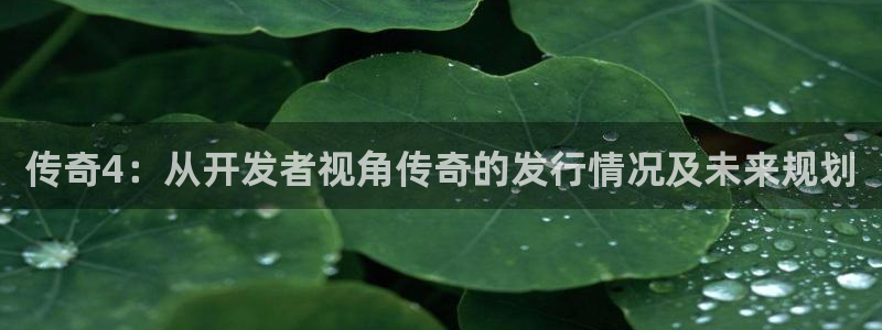 雷火竞技实业投资(东莞)有限公司：传奇4：从开发者视角传奇的发行情况及未来规划