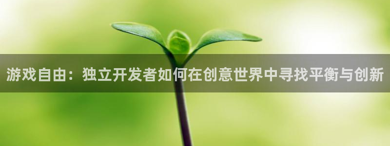雷火电竞注册方法视频下载：游戏自由：独立开发者如何在创意世界中寻找平衡与创新