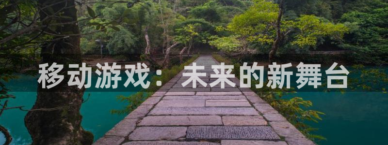 雷火电竞注册地址在哪里