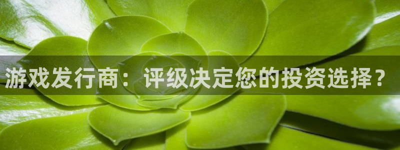 雷火电竞登录注册