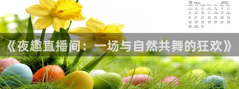 nba低调看jrs极速体育：《夜趣直播间：一场与自然共舞的狂欢》