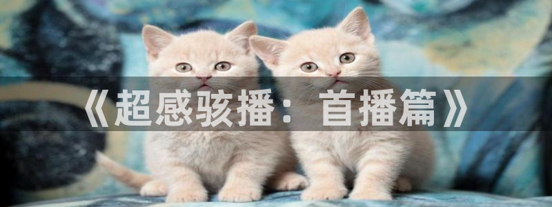 q极速体育直播观看：《超感骇播：首播篇》