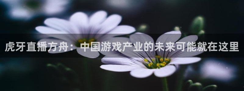 极速体育直播nba直播吧回放：虎牙直播方舟：中国游戏产业的未来可能就在这里