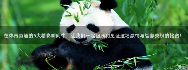 极速nba直播吧在线直播观看：在体育频道的5大精彩瞬间中，让我们一起回顾和见证这场激情与智慧交织的比赛！