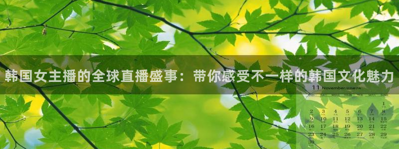极速直播吧nba直播：韩国女主播的全球直播盛事：带你感受不一样的韩国文化魅力