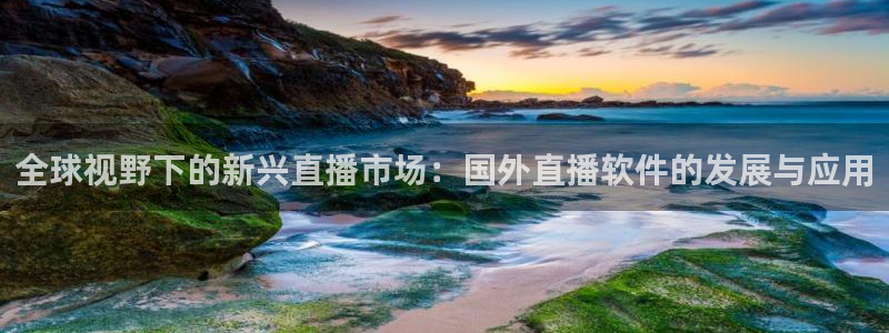 nba极速体育直播：全球视野下的新兴直播市场：国外直播软件的发展与应用