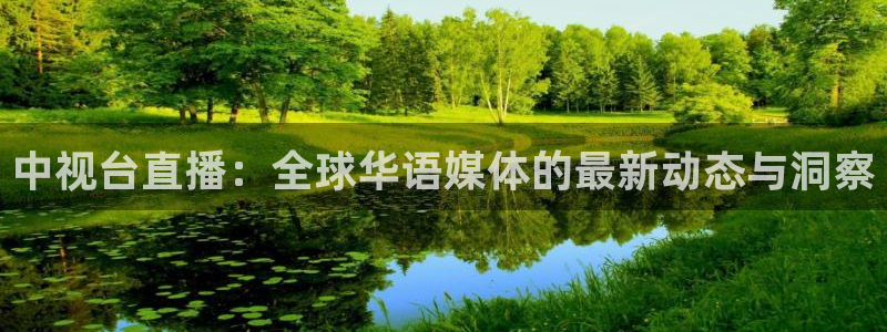 nba视频直播极速：中视台直播：全球华语媒体的最新动态与洞察